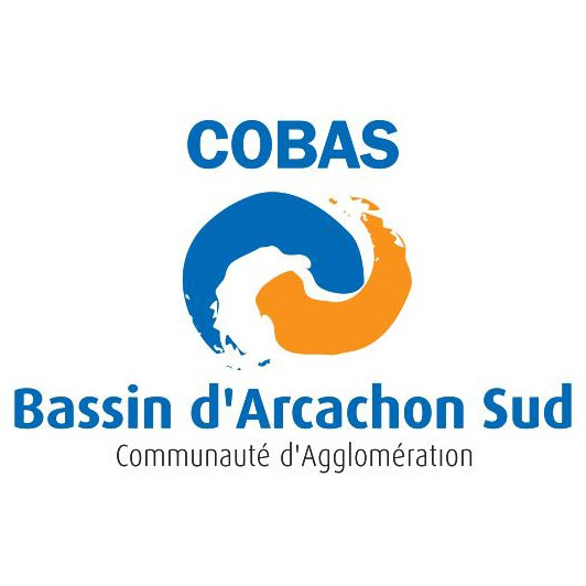 logo-cobas